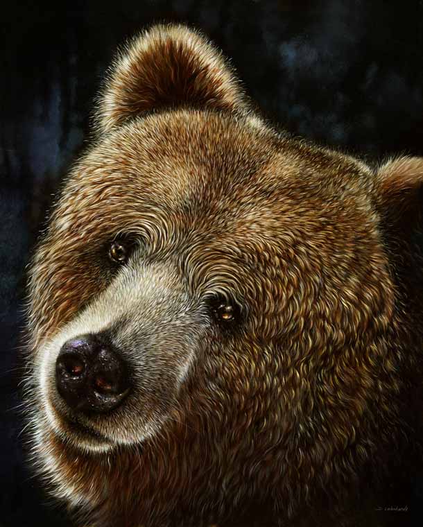 Grizzley Bear Cleveland Zoo